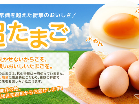 【30個入り】元気が出る！卵かけご飯で食べてほしい！朝採れた卵をその日に発送！たどころ産地(さん家)の体よろこぶ超たまご