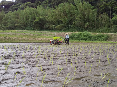 yuko yamazakiさま専用
野菜セット＋玄米10K+カット玄米もち300ｇ（肥料農薬不使用、自家採種、おだ掛け）