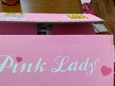 発送中🍎【ヒルナンデスでました！】ピンクレディー®︎ 5キロ訳あり品 加工用 長野県 信州 安曇野 リンゴ 幻 幻のリンゴ 予約 希少 旬 ID36611 ピンクレディー