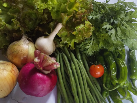 今が旬！野菜セットS(9～10品目)