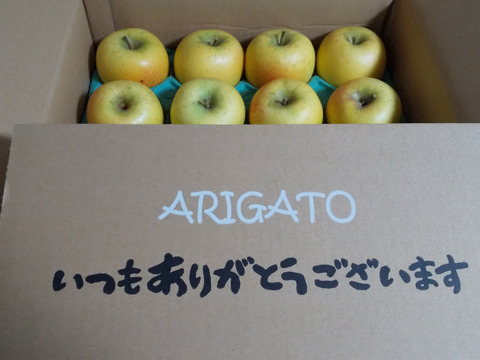 とっておきし新春福袋 シナノゴールド💛家庭用約4.5Kg🍏青森県産 数量限定：青森県産の 果物