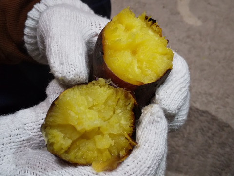 【限定！シルクスイート約1.5キロ☆なめらか食感＆甘さ上質】サイズ混載 土つき