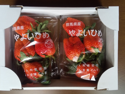 甘くてジューシー♪大粒をぜひ丸かじりで‼︎【完熟やよいひめ】サイズおまかせ2パック入り