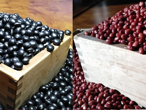 黒豆と小豆(各1kg)セット オーガニック(有機)豆 中生光黒とエリモショウズ 北海道十勝産