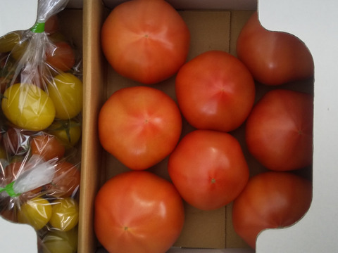 いま食べなきゃ損 100 純桃太郎 旬です雪ちゃんトマト プレゼントに 自分へのご褒美に ミニトマトと桃太郎トマトのセット2キロ箱詰め 長野県産 食べチョク 農家 漁師の産直ネット通販 旬の食材を生産者直送