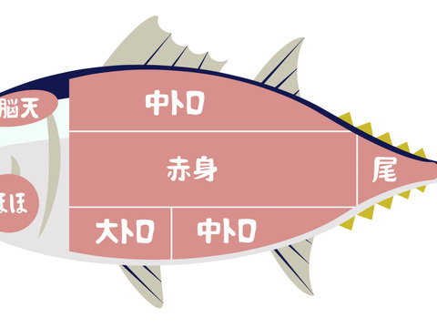 大間まぐろ中トロ200g前後