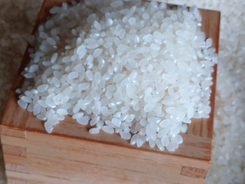 【令和7年新米】　ひとめぼれ　白米　5kg