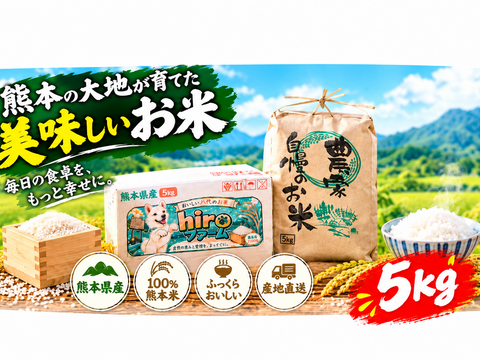 ①3月28日掘り出し当日中発送　 　　熊本産4kg 新米 白米 5kg 無洗米 くまさんの輝き 令和8年度産 熊本県産 hiro