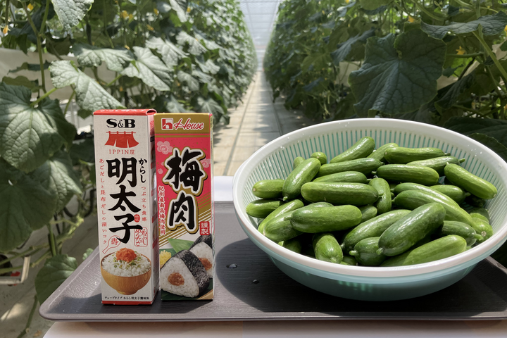 ミニきゅうりのおいしい食べ方