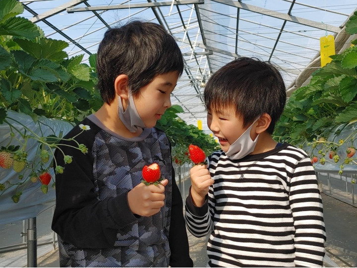 生産者のこだわり