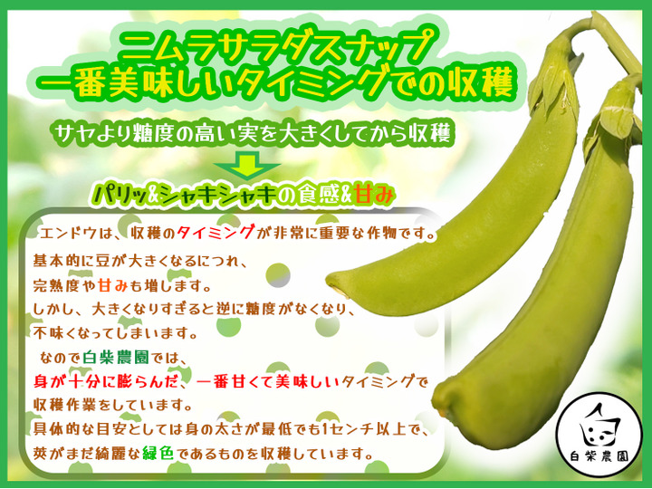 生産者のこだわり