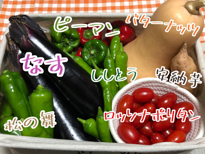 旬の野菜を新鮮なままお届け。