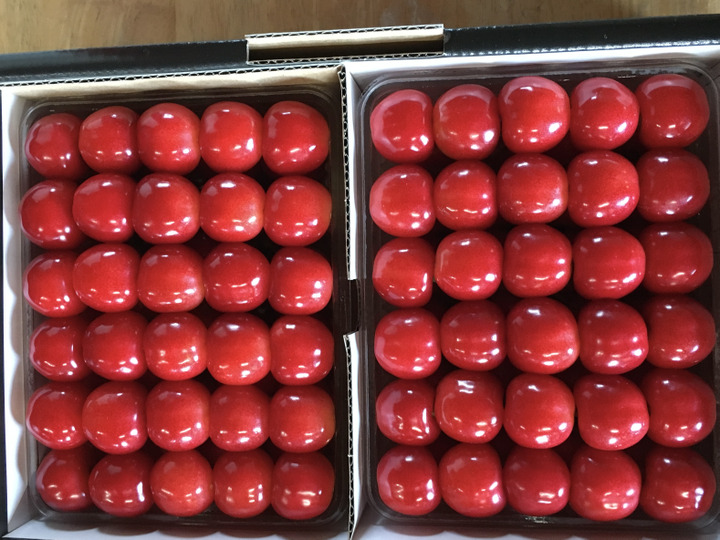朝どれさくらんぼをその日のうちに