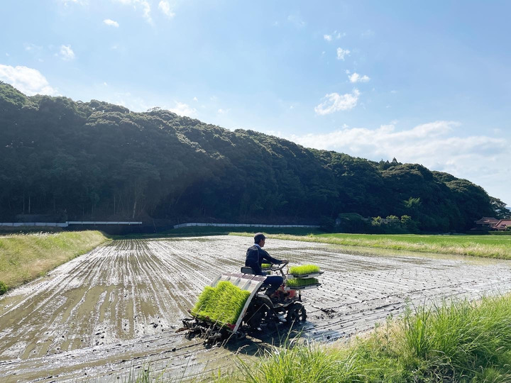 生産者のこだわり