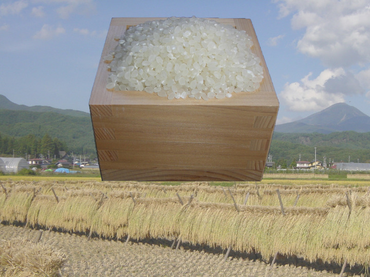 長野県　天日干し　農家直送 10kg 食品・飲料・酒 長野県 天日干し 農家直送