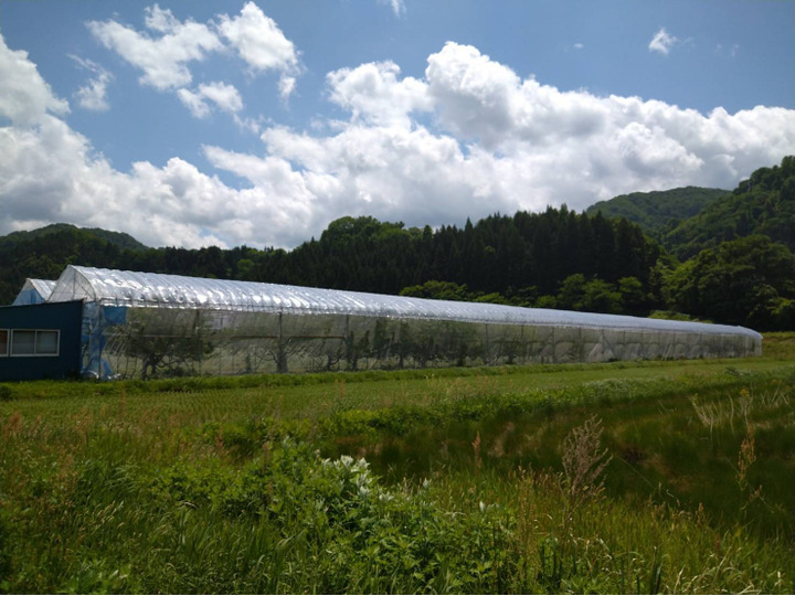 生産者のこだわり
