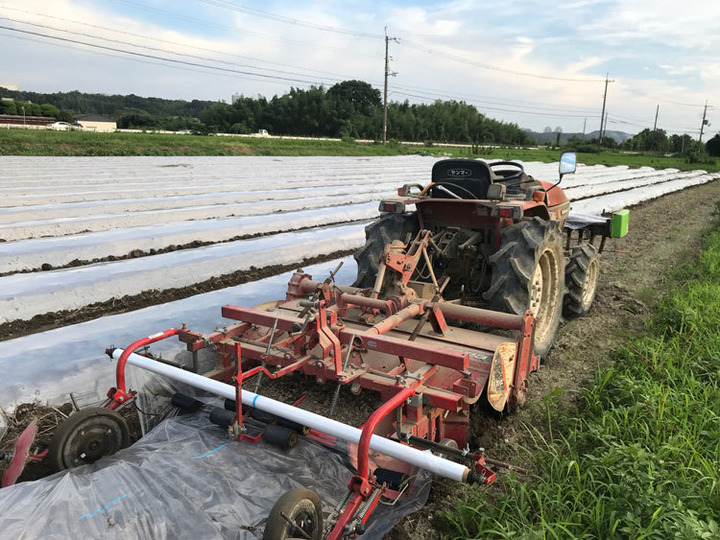 緑肥を活用した健康な土壌環境作りに尽力しています。