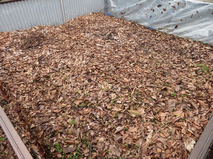 なるべく化学肥料は最小限で