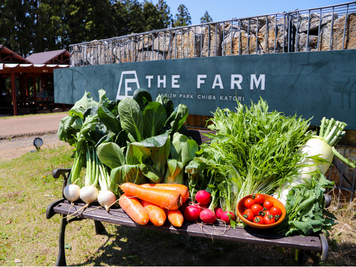 農園リゾート THE FARM へのレビュー・商品：千葉県｜食べチョク