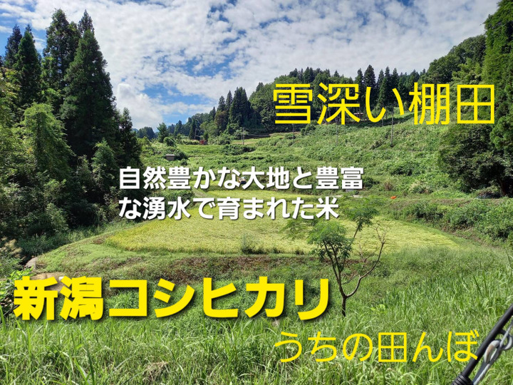 湧き水育ち 農家直送 令和4年新米 兵庫県産ヒノヒカリ 20kg(10kg×2 湧き水育ち 農家直送 令和4年新米 兵庫県産ヒノヒカリ 20kg(10kg×