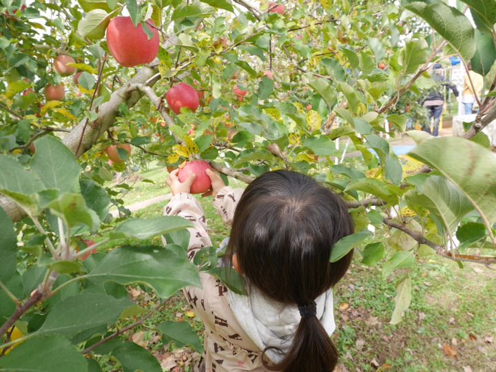 未来へ安心安全な果物を!