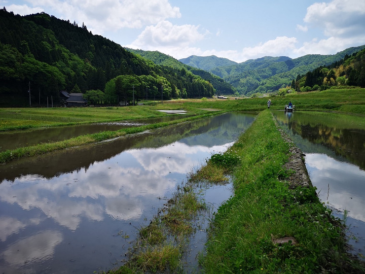 山里の棚田