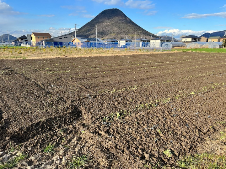 生産者のこだわり