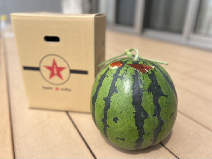 2027年予約】くまもと植木産🍉春スイカ(肥後漫遊)4月5日〜発送 | 1玉