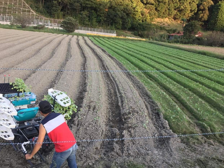 健康な野菜やお米で免疫力アップ!