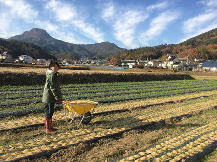 こだわり-無肥料・無農薬