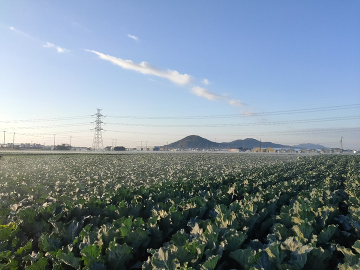 生産者のこだわり