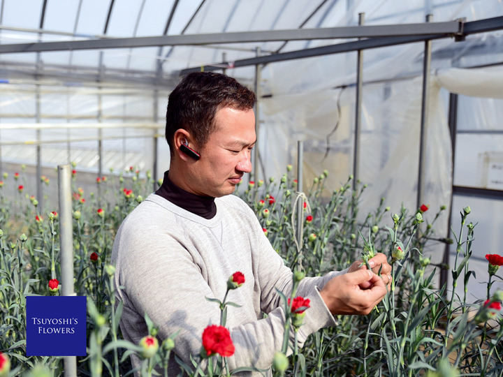 Tsuyoshi S Flowersへのレビュー 商品 長崎県 食べチョク 産地直送 産直 お取り寄せ通販 農家 漁師から旬の食材を直送