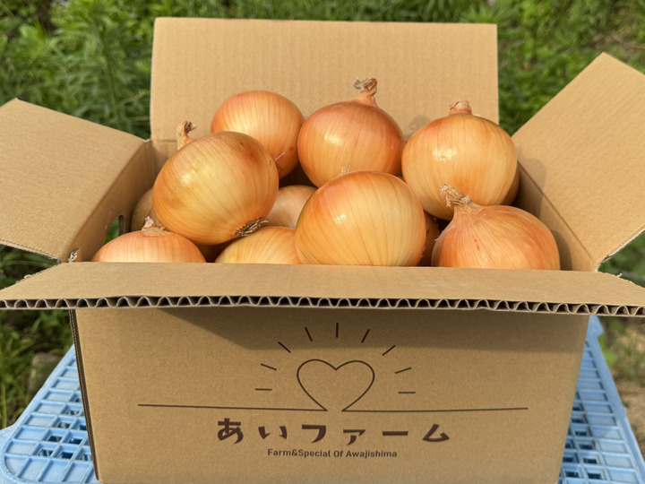 令和7年産 淡路島産 ミルキークイーン 30kg 精米済 令和7年淡路島産ミルキークイーン 5㎏ 精米済：兵庫県産のミルキー