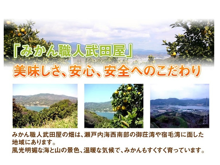 こだわって栽培しています。