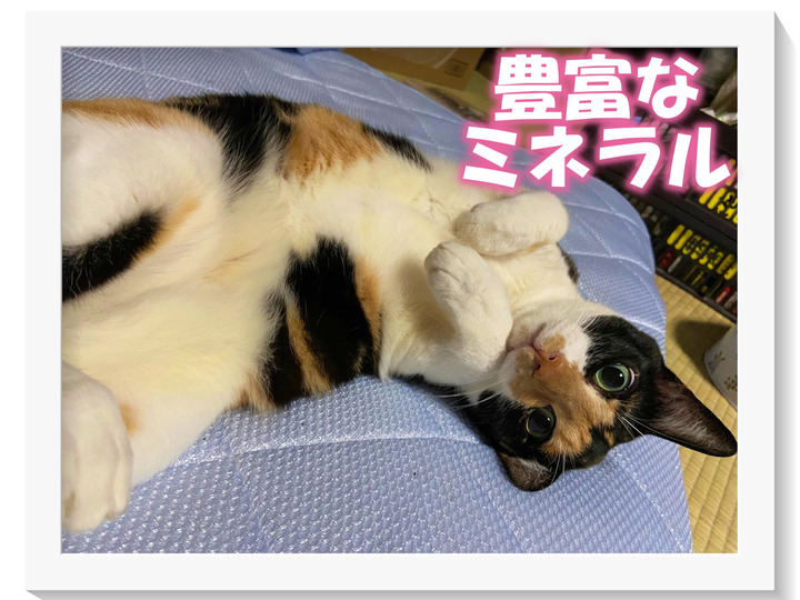 生産者のこだわり