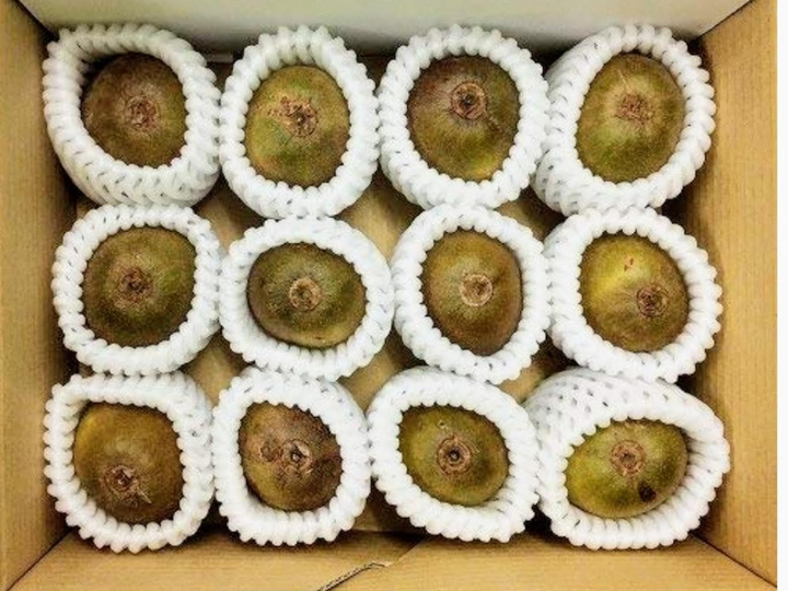 化学肥料・農薬・成長剤不使用】皮まで食べれるグリーンキウイ
