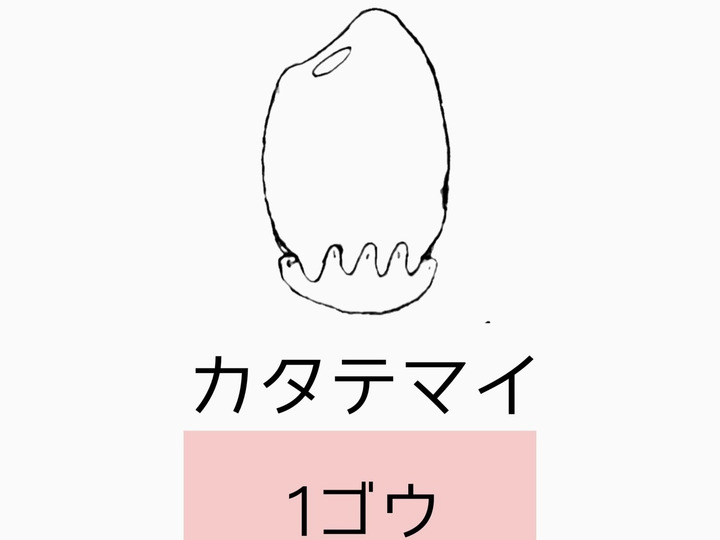 生産者のこだわり