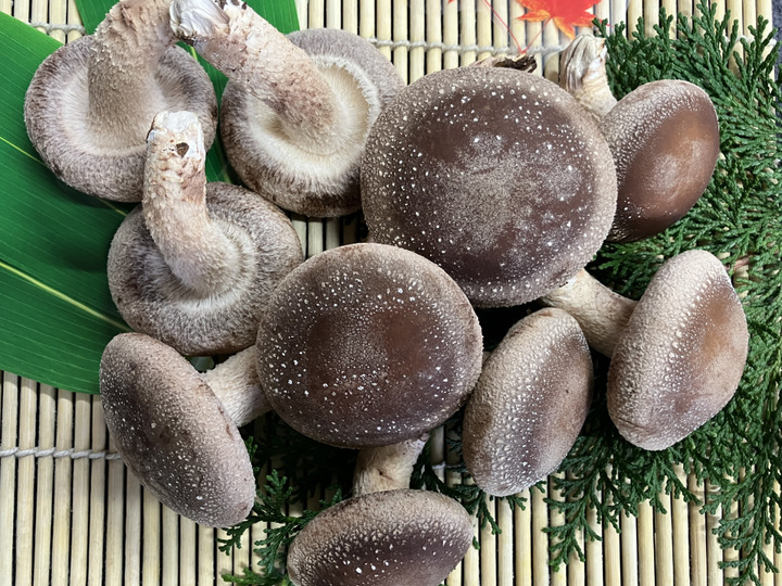 deeco様専用 キクラゲ250g 肉厚白木耳120g木干し椎茸 (250g