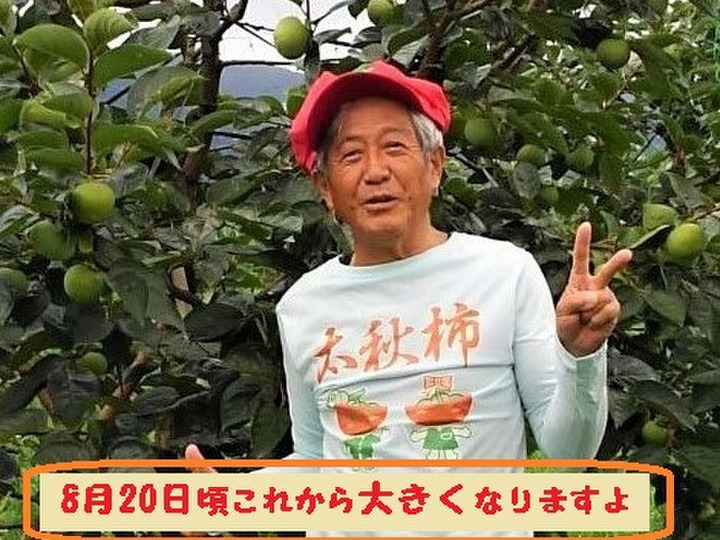 生産者のこだわり