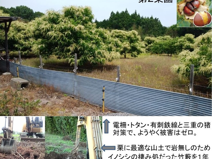 生産者のこだわり
