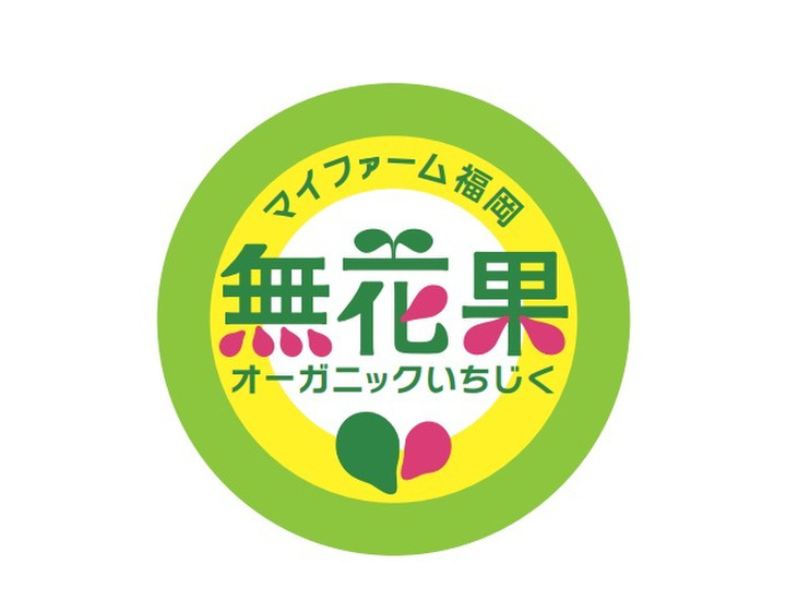30名限定】有機JASの福岡県産いちじく 9月より順次発送の予約商品【初出品のお試しプライス】(1㎏)無花果・イチヂク:福岡県産のいちじく|食べチョク| 産地直送(産直)お取り寄せ通販 - 農家・漁師から旬の食材を直送 30名限定】有機JASの福岡県産いちじく 9月より順次発送の予約商品【初出品のお試しプライス】(1㎏)無花果・イチヂク:福岡県産のいちじく|食べチョク| 産地直送(産直)お取り寄せ通販 - 農家・漁師から旬の食材を直送