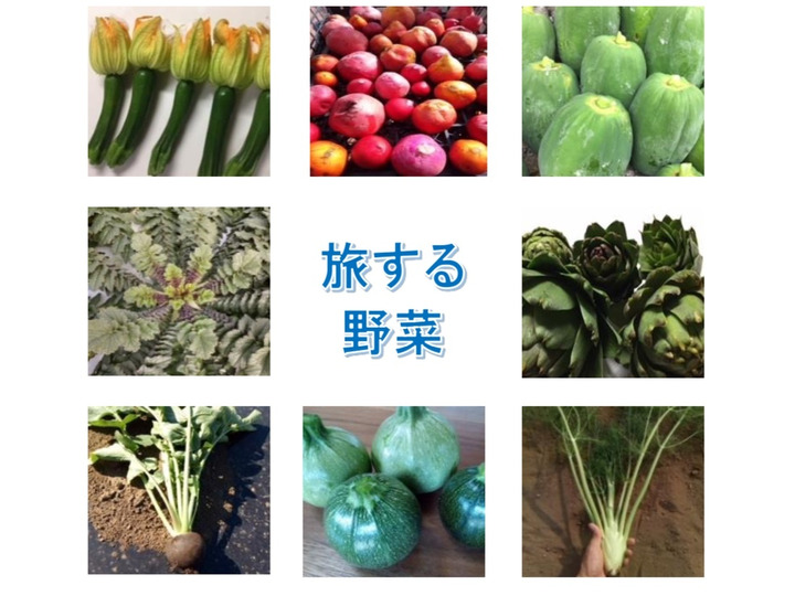 旅する野菜
