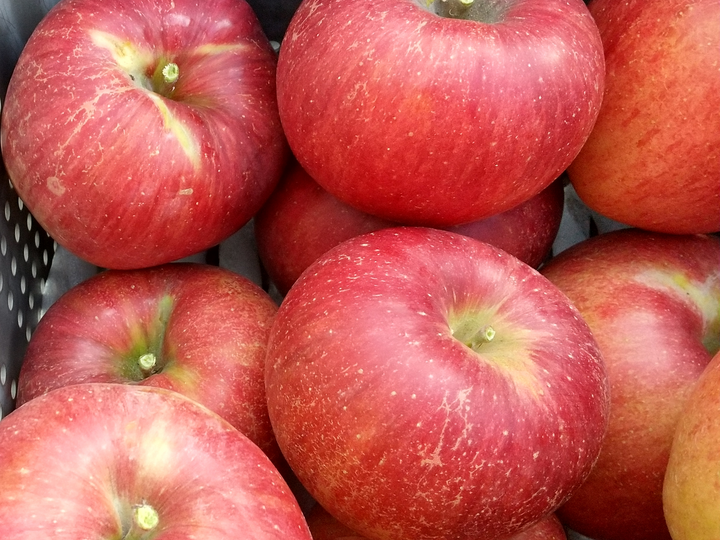 りんご 採れたてシナノスイート 約3kg 家庭用：長野県産の