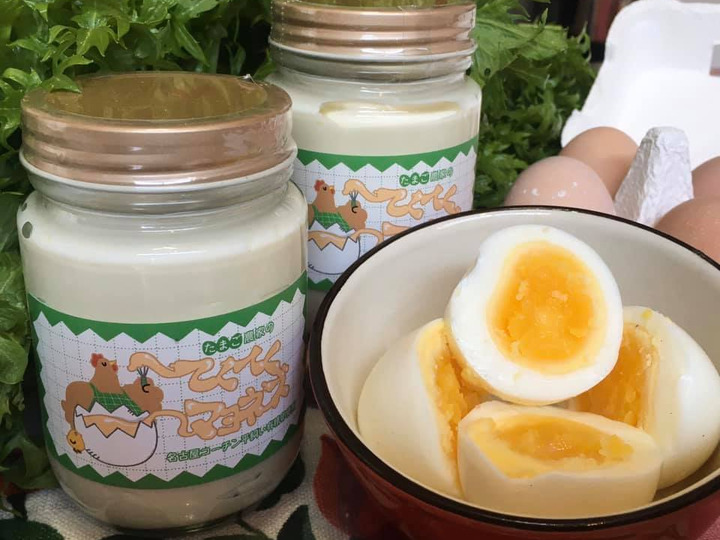 名古屋コーチン平飼い有精卵 48個入り：愛知県産の平飼い｜食べチョク