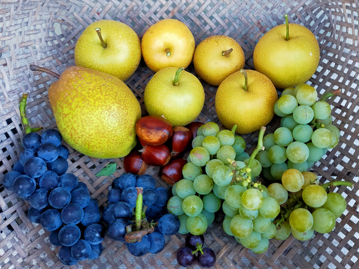 栗食べよう】青森県産 生栗1㎏：青森県産のその他栗｜食べチョク｜産地