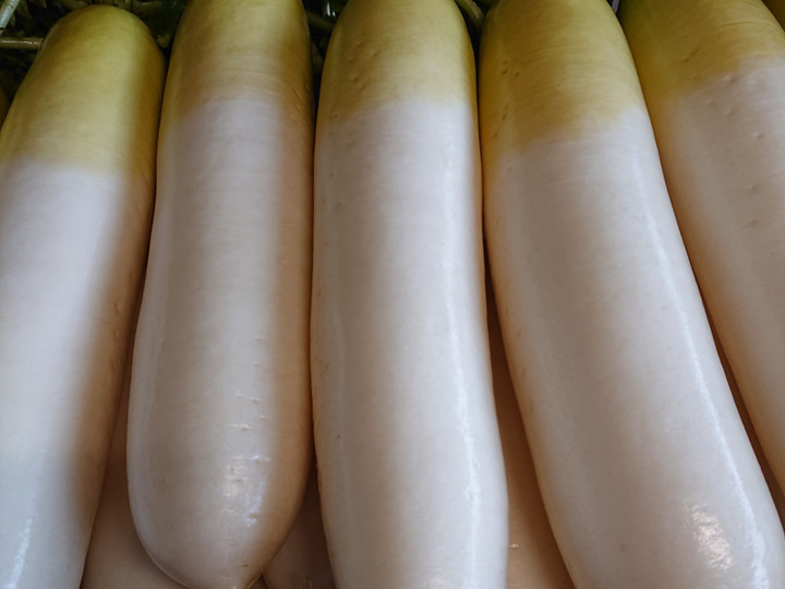 産地  (千葉県銚子市)