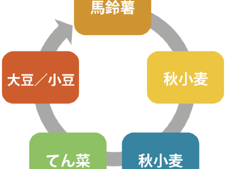 生産者のこだわり