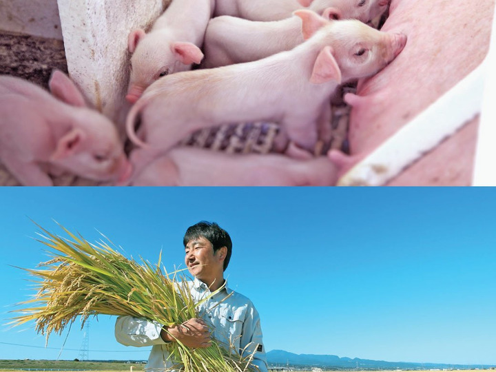 生産者のこだわり