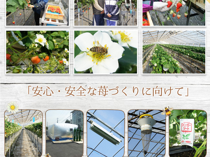 生産者のこだわり