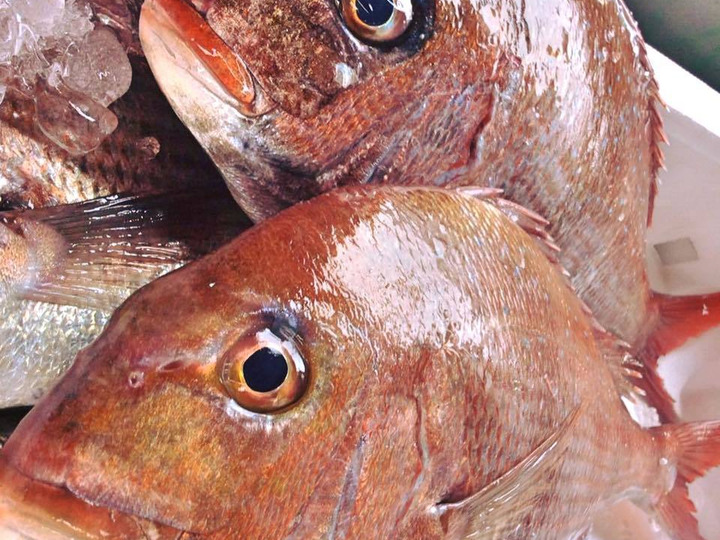 どれも刺身で食べれる新鮮な魚のみ使用!